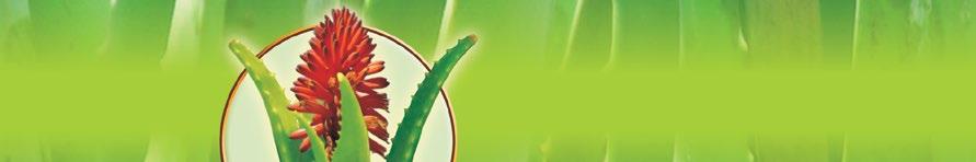ALOE VERA GEL STAR zawarty w produkcie aloes posiada właściwości przeciwutleniające Substancje składowe pomagają: zachować zdrową mikroflorę jelitową przy zaburzeniach przemiany materii w