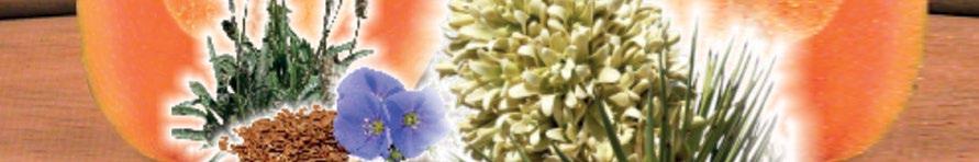 PAPAYA PLUS STAR trawienie i prawidłowa praca jelit Papaja odznacza się znakomitym smakiem i delikatnym aromatem.
