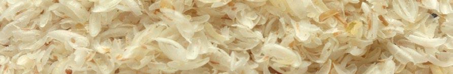 PSYLLIUM STAR wspiera trawienie i tranzyt jelitowy Substancje składowe pomagają: przeciwdziałać zaparciom w prawidłowym trawieniu i pracy jelit Plantago ovata (Psyllium Husk, babka jajowata) wspomaga