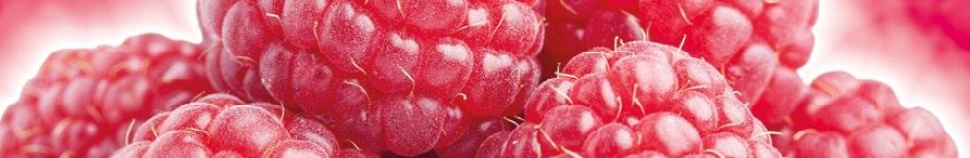 RASPBERRY STAR naturalny spalacz tłuszczu Zawarte składniki pomagają: w przemianie materii przy dietach redukujących wagę w szybkim spalaniu tłuszczu Bez diety i ćwiczeń, zaledwie w 4 tygodnie nokaut