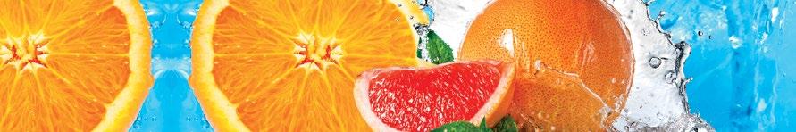 SLIM FIBER STAR dla zdrowego przewodu pokarmowego, zapewnia uczucie sytości Substancje składowe pomagają: normalizować czynności jelit wspierać zdrowe trawienie kontrolować uczucie sytości wspierać