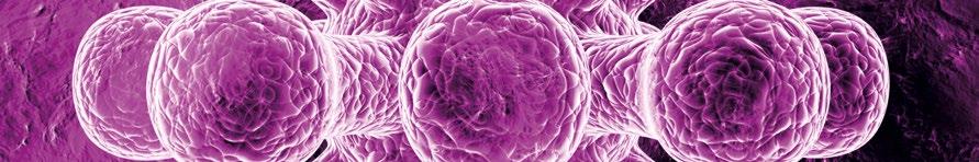 VITAMIN K2 STAR SUPLEMENT DIETY Witamina K2 + Witamina D3 Witamina K2: ważna dla prawidłowej krzepliwości krwi i optymalnego stanu kości Witamina D3: przyczynia się do prawidłowego wchłaniania wapnia