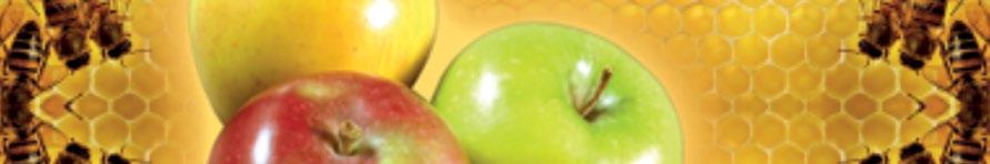 APPLE HONEY VINEGAR STAR w redukcji masy ciała Ocet wytwarza się w procesie fermentacji. To proces, w czasie którego cukry są rozkładane przez bakterie i komórki drożdży.