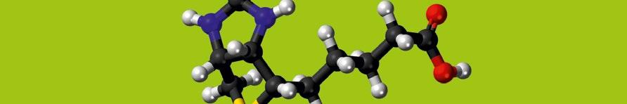 BIOTIN STAR wzmacnia układ nerwowy, psychikę oraz włosy, śluzówki i skórę Biotyna pomaga: optymalizować metabolizm energetyczny poprawiać stan włosów i skóry równoważyć czynności nerwowe i psychiczne