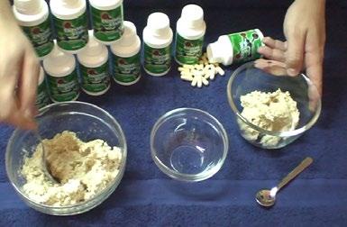 70 mg; glukoamylaza 60 mg; pepsyna 60 mg; laktaza 50 mg; lipaza 50 mg; inwertaza 40 mg, żółć wołowa 40 mg; maltaza 40 mg; celulaza 30 mg; substancja przeciwzbrylająca):