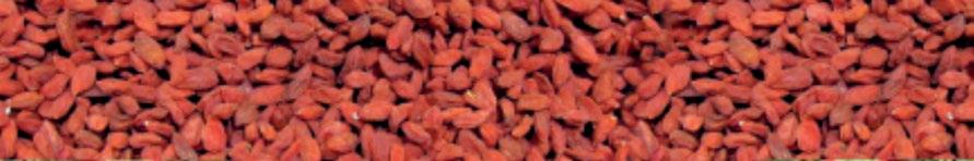 GOJI JUICE STAR wyjątkowe zestawienie przeciwutleniaczy, odporność, trawienie Granatowiec Punica granatum, jest zwany drzewem miłości w raju.