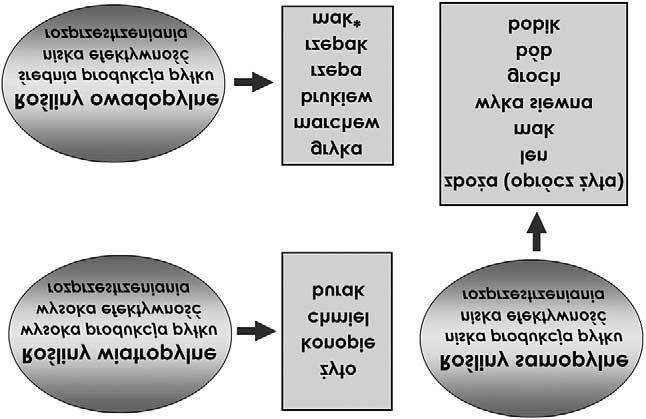 174 Małgorzata Latałowa Ryc. 1. Przykłady wiatropylnych, owadopylnych i samopylnych roślin uprawnych Fig. 1. Examples of wind-, insect- and self-pollinated cultivated plants je jednolita lub mało zróżnicowana morfologia pyłku, co ogranicza identyfikację taksonów niższej rangi.