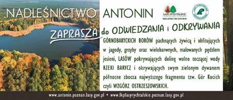8 AUTO KLIMATYZACJE tel.