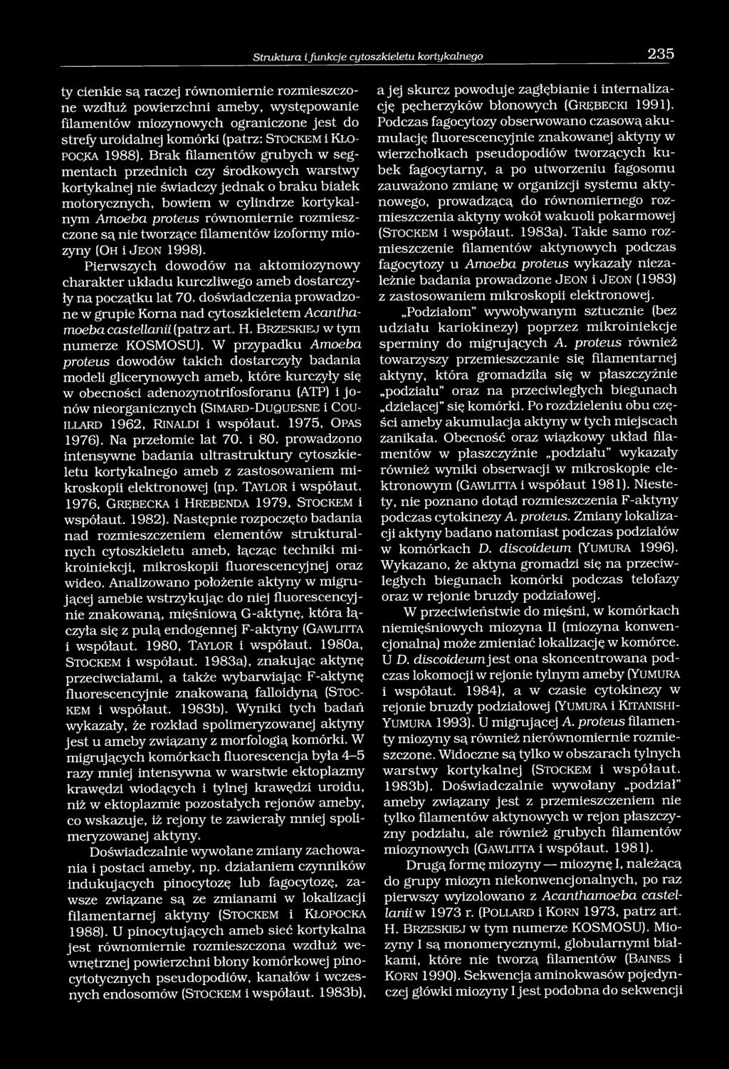 Brak filamentów grubych w segmentach przednich czy środkowych warstwy kortykalnej nie świadczy jednak o braku białek motorycznych, bowiem w cylindrze kortykalnym Amoeba proteus równomiernie