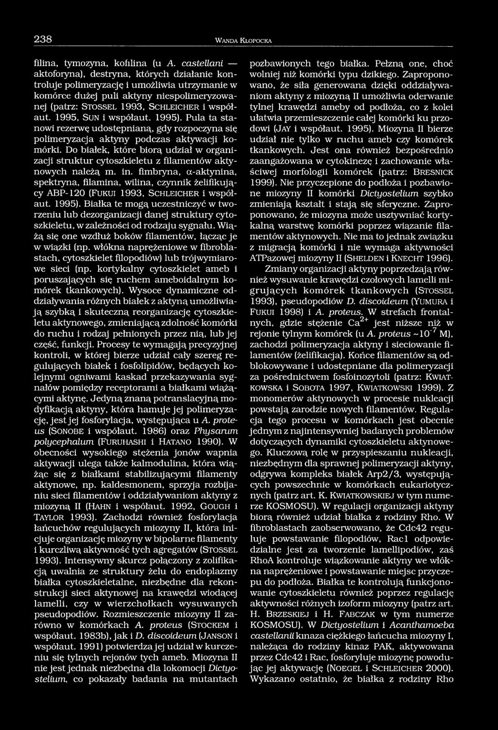 współaut. 1995, Sun i współaut. 1995). Pula ta stanowi rezerwę udostępnianą, gdy rozpoczyna się polimeryzacja aktyny podczas aktywacji komórki.