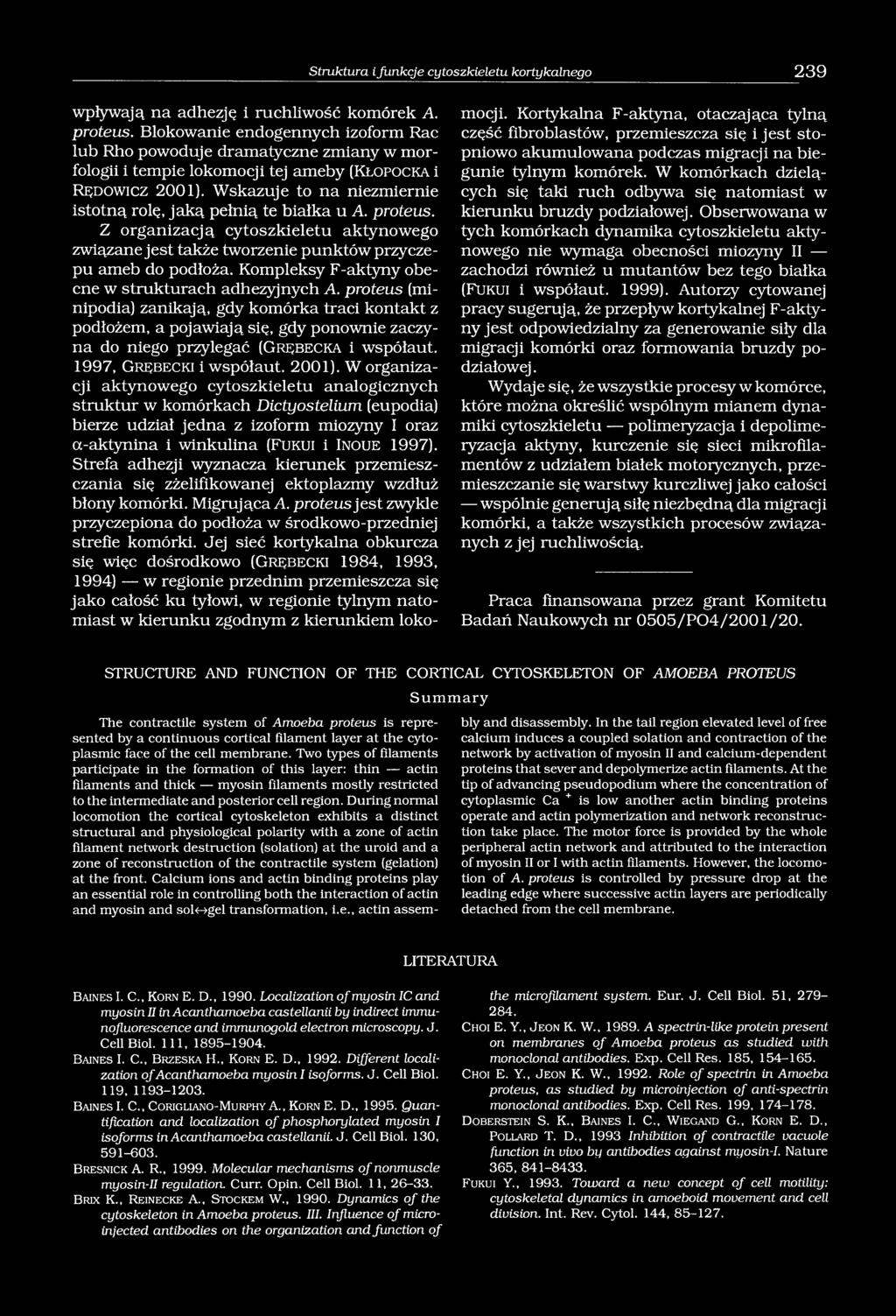 Wskazuje to na niezmiernie istotną rolę, jaką pełnią te białka u A. proteus. Z organizacją cytoszkieletu aktynowego związane jest także tworzenie punktów przyczepu ameb do podłoża.