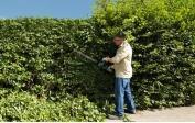 PRO-GREEN