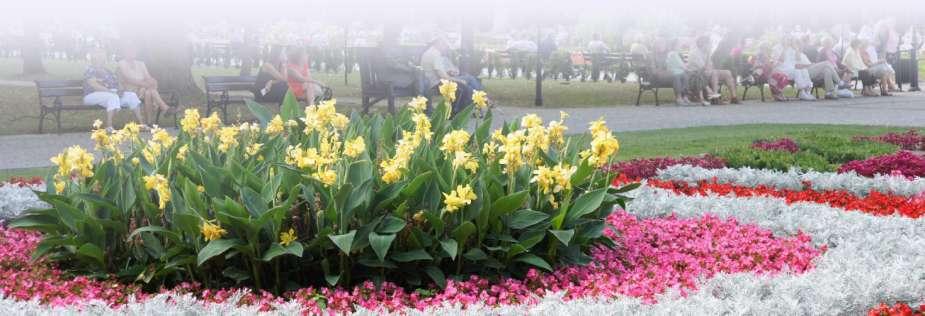 PARK SOLANKOWY Park Solankowy ma powierzchnię 85 hektarów, mieszczą się tutaj wszystkie obiekty uzdrowiskowe oraz sanatoria, które co ważne są w 100% sprywatyzowane.