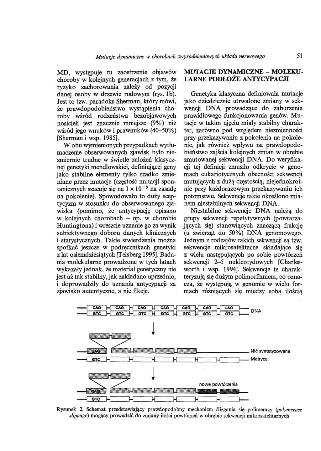 Mutacje dynamiczne w chorobach zwyrodnieniowych układu nerwowego 51 MD, występuje tu zaostrzenie objawów choroby w kolejnych generacjach z tym, że ryzyko zachorowania zależy od pozycji danej osoby w