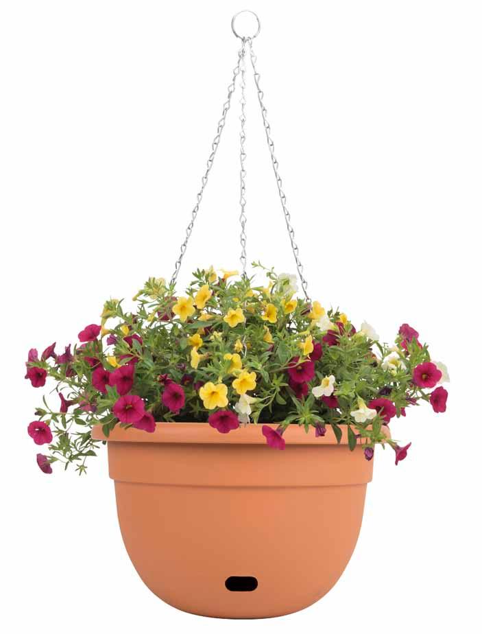 Sorrento wiszące selfwatering