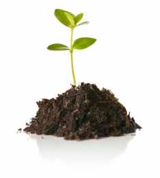 Growers Pots Okrągłe i kwadratowe doniczki, idealne na różnego rodzaju nasiona. Dostępne w dówch ach. Doniczka Growers Kwadratowa szt.