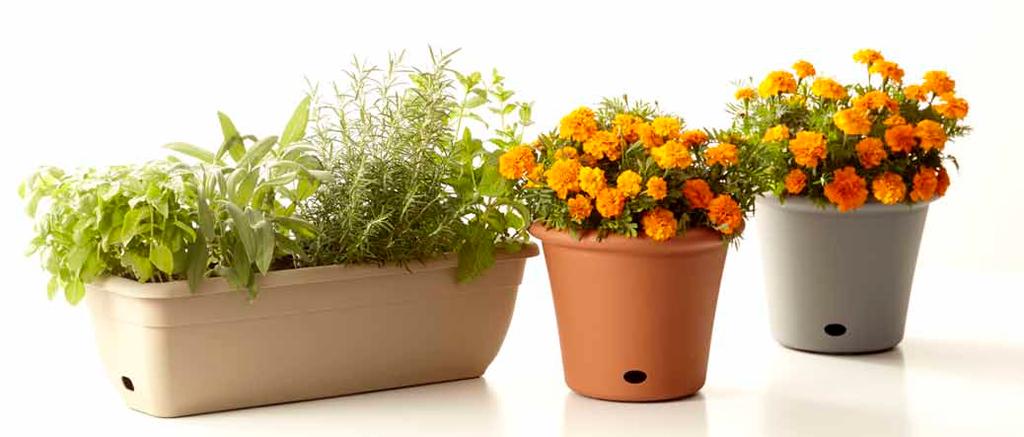 selfwatering fill with water & plants water themselves! Unikalny system nawadniania i dotleniania roślin, sprawi, że dbanie o zieleń w Twoim domu będzie łatwe i przyjemne.
