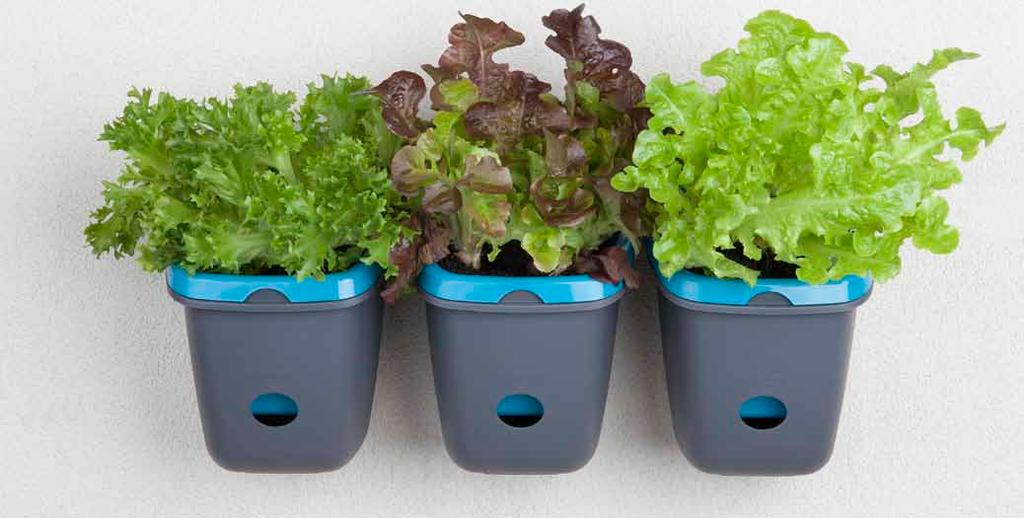 Wall Garden selfwatering new fill