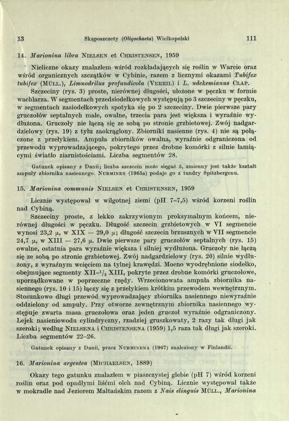 13 Skąposzczety (Oligochaeta) Wielkopolski 111 14.
