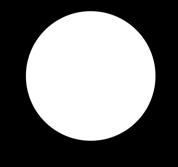 LEŚNYCH W
