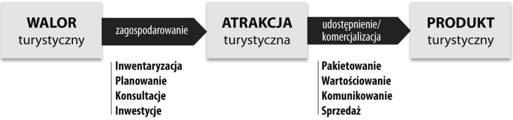 Proces kreowania