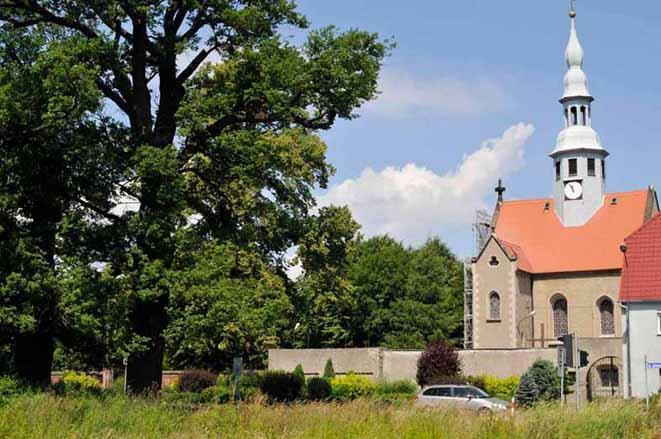 Nasadzenia historyczne o dużej wartości przyrodniczej i krajobrazowej.