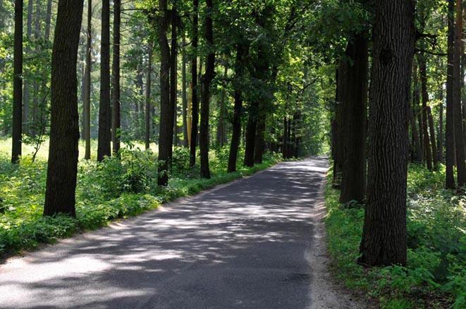 Wartości kulturowe Nie stwierdzono. 5. Zdjęcia Fot.