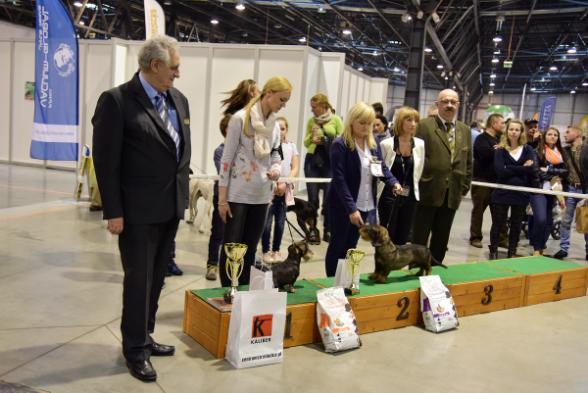 organizowana przez Związek Kynologiczny w Polsce Oddział w Bytomiu.