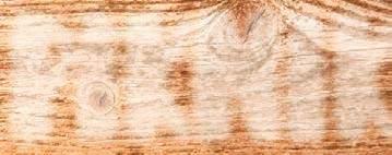 9, (12,29 ) E L EG A N