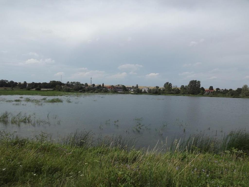 Diagnoza na potrzeby wyznaczenia obszaru zdegradowanego i obszaru rewitalizacji na terenie Gminy Wodzisław Fotografia 9 Zalew w Wodzisławiu z otaczającym go