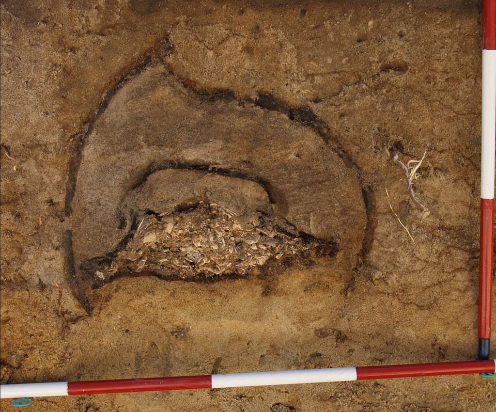 p.n.e. pojawiają się na terenie ziem polskich pierwsze wyroby z żelaza. Dlatego też w archeologii okres ten nazywany jest wczesną epoką żelaza.