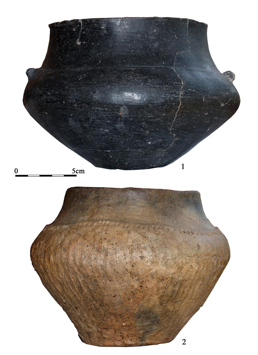 Forma, kształt, zdobienie i sposób wykonania naczyń grobowych są dla archeologów wyznacznikami chronologicznymi. Szacuje się, że zmarłych na cmentarzysku w Pawłowicach pochowano pomiędzy 600 a 400 r.