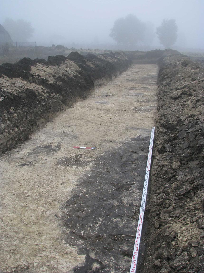 Prace archeologiczne cieszyły się sporym