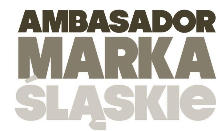 Foundation'. Œl¹ska Nagroda Jakoœci w kategorii Œrednia Firma Us³ugowa.
