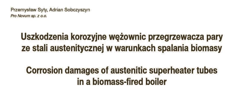 Biuletynie Pro Novum stanowi¹cym dodatek do bran owego czasopisma Energetyka.