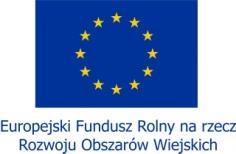 Załącznik nr 1 do Uchwały nr 3/NWZ/2017 z