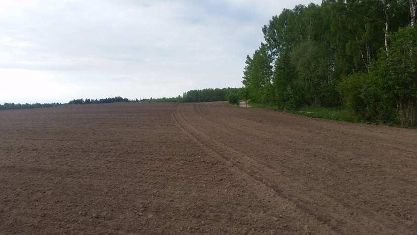 4 Pola uprawne sąsiadujące z terenem