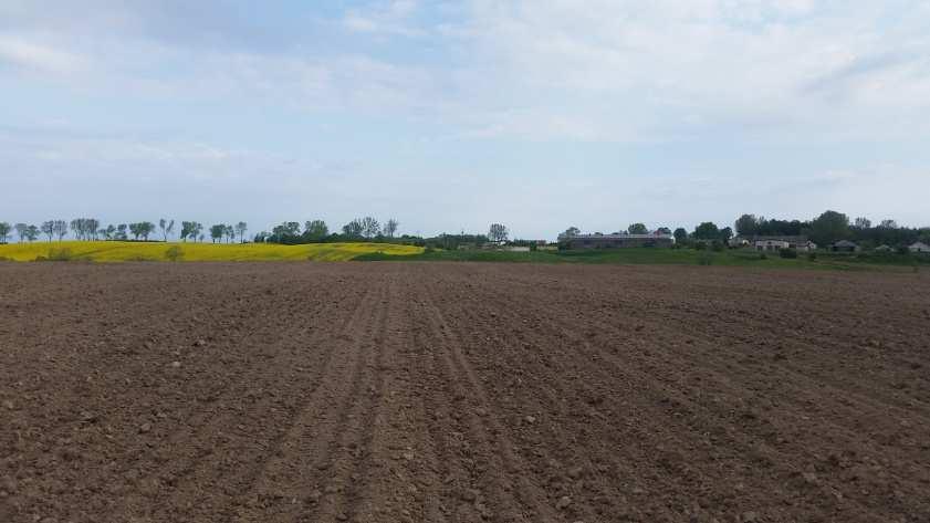 5 Pola uprawne sąsiadujące z terenem  6 Pola