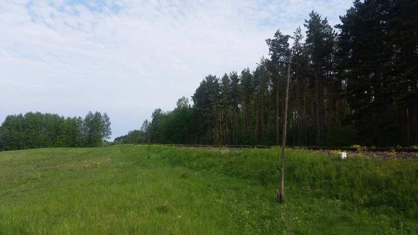 Fot. 15 Tereny leśne oraz