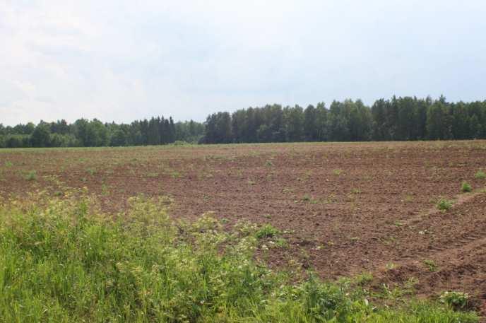 Fot. 23 Teren planowanej
