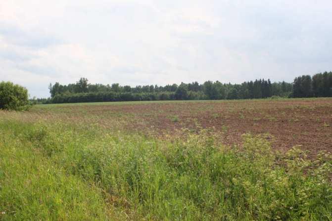Fot. 24 Teren planowanej  Fot.