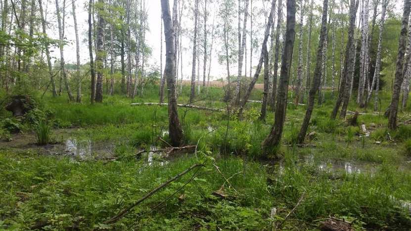 PLANOWANEJ INWESTYCJI