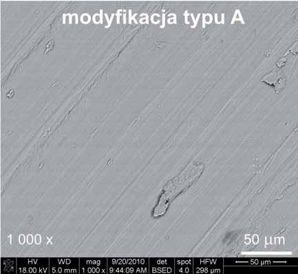 stopu (przed i po mody kacji plazmochemicznej) potwierdzaj udzia pierwiastków,