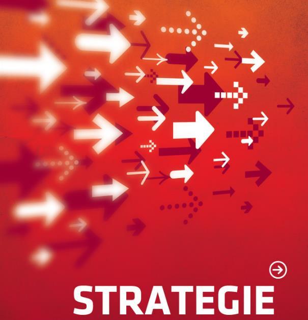 Strategie rozwiązywania problemów społecznych w Polsce Nadal wiele do zrobienia jeśli chodzi o partycypacyjny model kreowania tych strategii Wiele strategii