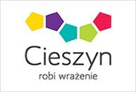 Załącznik nr 2 do PFU Szczegółowa specyfikacja techniczno-funkcjonalna systemów informatycznych Faza: Program Funkcjonalno-Użytkowy Temat: Budowa zintegrowanego węzła przesiadkowego w Cieszynie