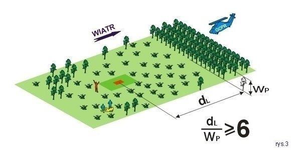 po natrafieniu na zasypanego należy odkopać go ostrożnie, uwalniając w pierwszym rzędzie głowę i klatkę piersiową, w razie potrzeby stosować zabiegi reanimacyjne, po przeniesieniu ofiary w bezpieczne