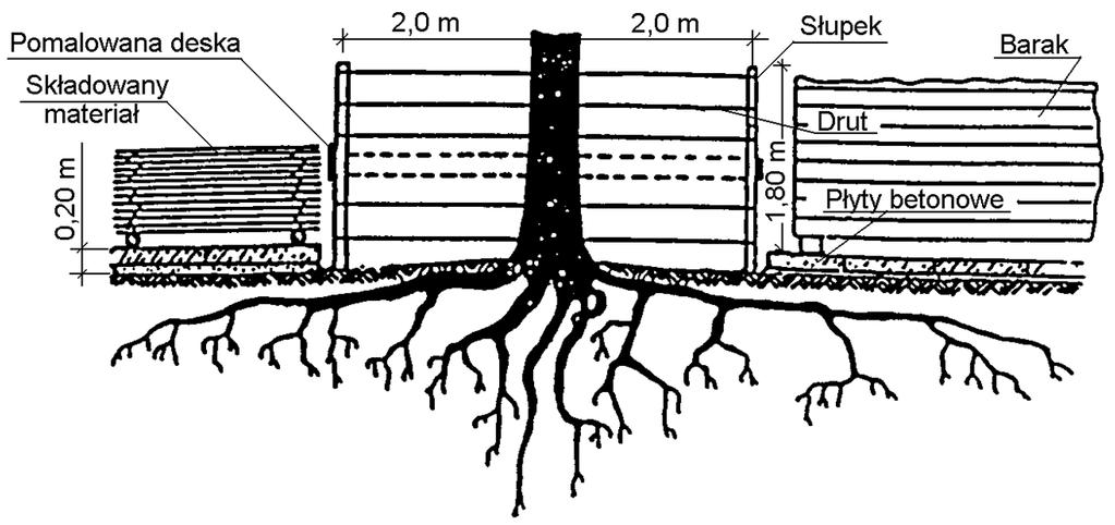 placu składowym (wg [10]) (Oprócz wygrodzenia drzewa płotem z desek lub