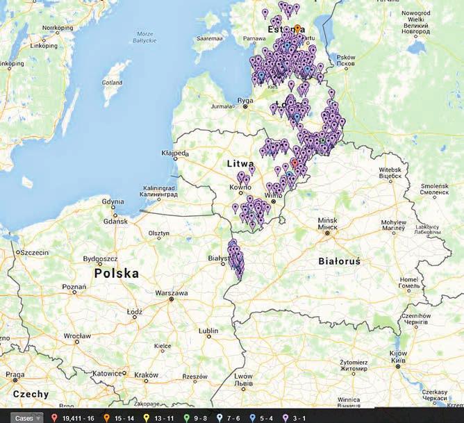 czynnym tylko 0,62% odstrzelonych dzików wykazało wynik dodatni. Wydaje się, że nieprawidłowe postępowania z dzikami po ich odstrzale, np.