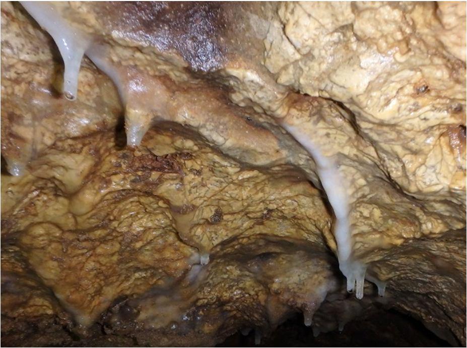 D- osady wypełniające jaskinie Charakterystyka mineralogiczno-petrograficzna osadów zapełniających jaskinie Pychowicką Śledząc mineralogiczno-petrograficzny i sedymentologiczny