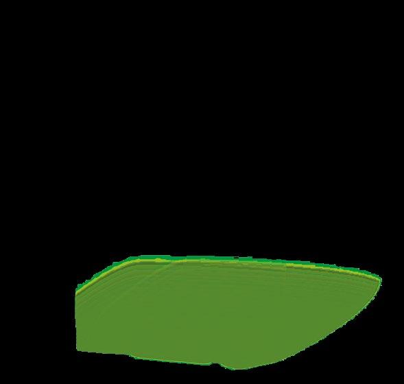 899 5 99 1